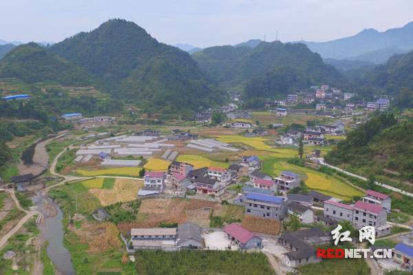 【網(wǎng)絡(luò)媒體走轉(zhuǎn)改】永順三家田村：小基金大作用 留下永不撤走的扶貧隊