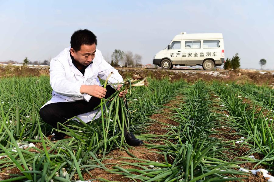 （治國理政新實(shí)踐）奮力鑄就大國民生改善新篇章——黨的十八大以來民生保障啟示