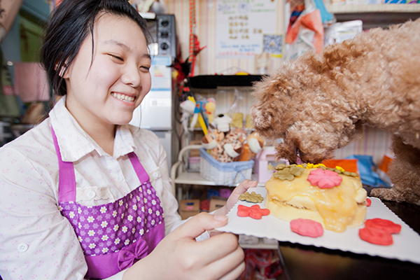 優(yōu)質(zhì)美食和電子商務推動中國寵物食品行業(yè)發(fā)展