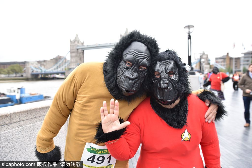 英國(guó)舉辦“大猩猩”慈善跑 人扮猩猩獻(xiàn)愛(ài)心募款