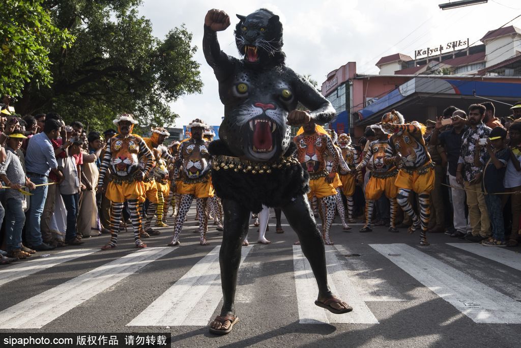 印度傳統(tǒng)虎舞的臺前幕后 表演者用顏料涂滿全身化身“猛虎”