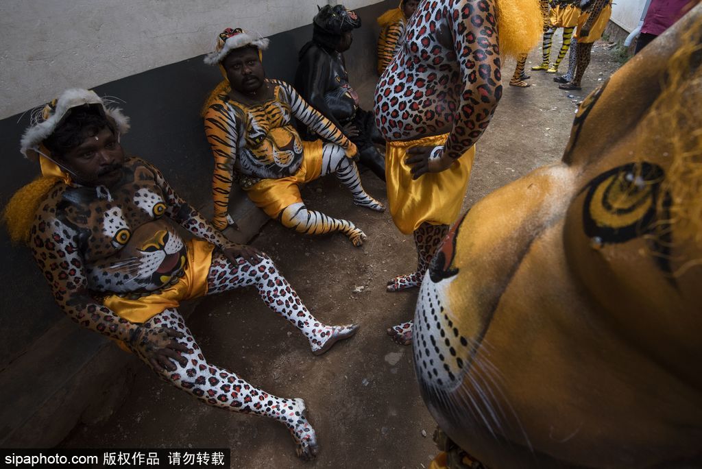 印度傳統(tǒng)虎舞的臺前幕后 表演者用顏料涂滿全身化身“猛虎”