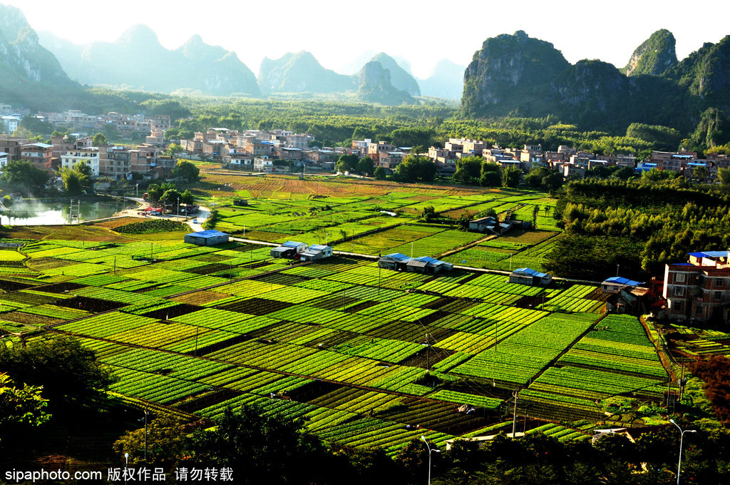 春回大地草木萌動(dòng) 盤點(diǎn)那些農(nóng)田光景返樸歸真