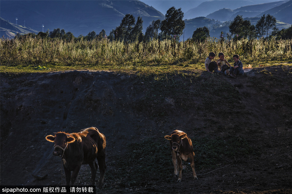 春回大地草木萌動(dòng) 盤點(diǎn)那些農(nóng)田光景返樸歸真