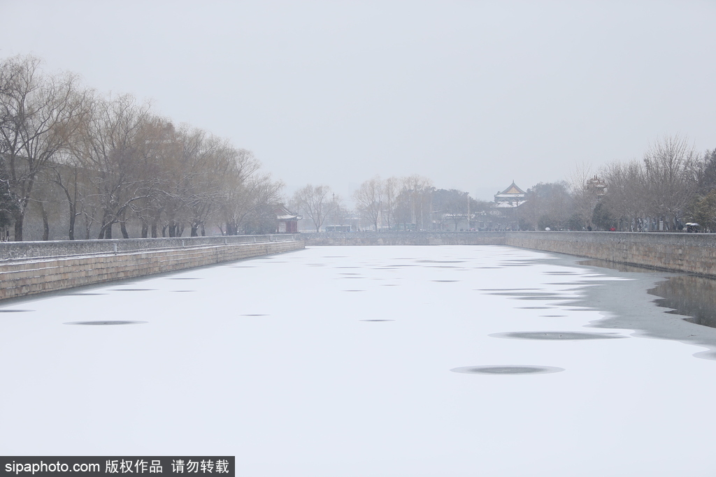 北京“鵝毛大雪”如約而至 故宮雪景美如畫