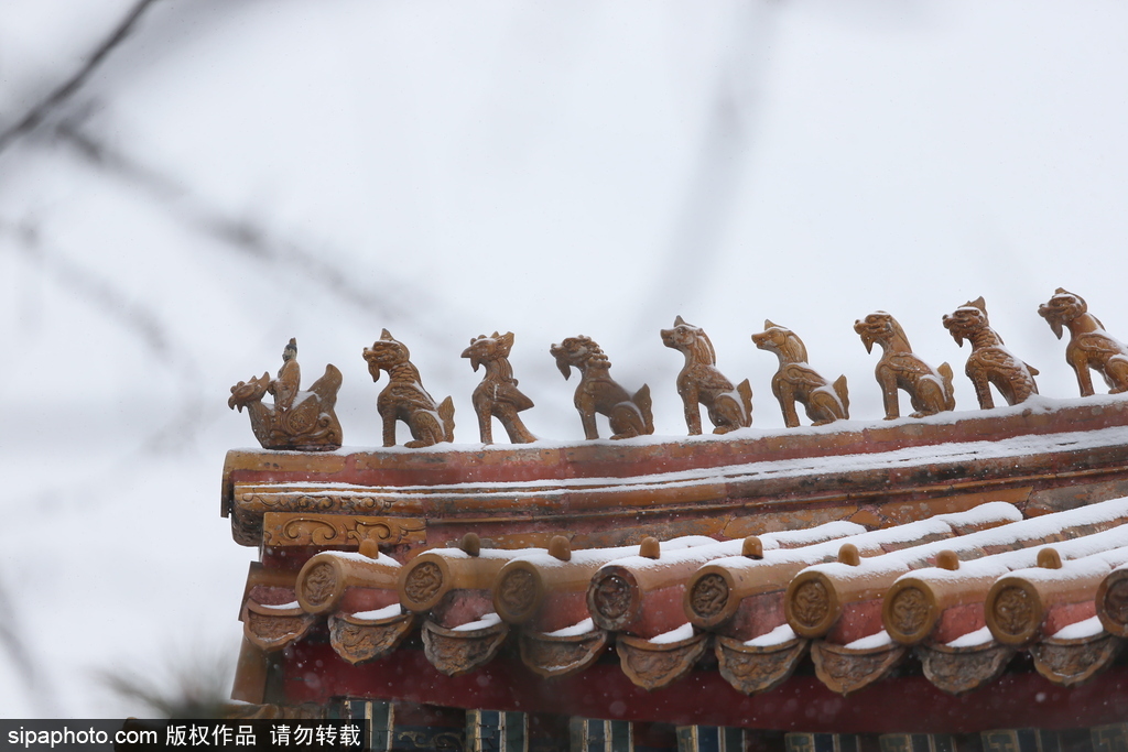 北京“鵝毛大雪”如約而至 故宮雪景美如畫