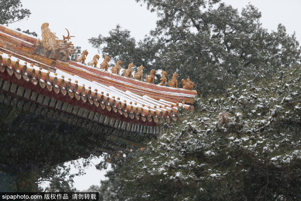 北京“鵝毛大雪”如約而至 故宮雪景美如畫