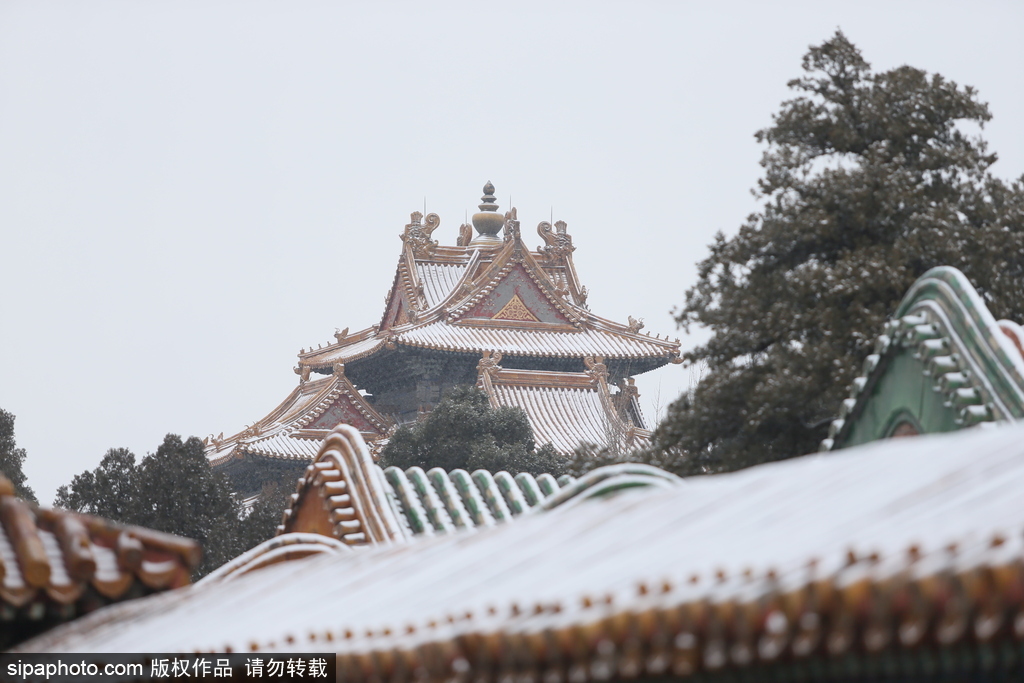 北京“鵝毛大雪”如約而至 故宮雪景美如畫(huà)