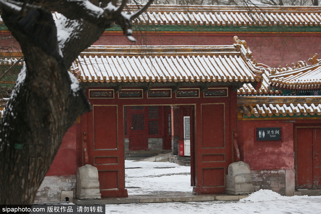 北京“鵝毛大雪”如約而至 故宮雪景美如畫(huà)