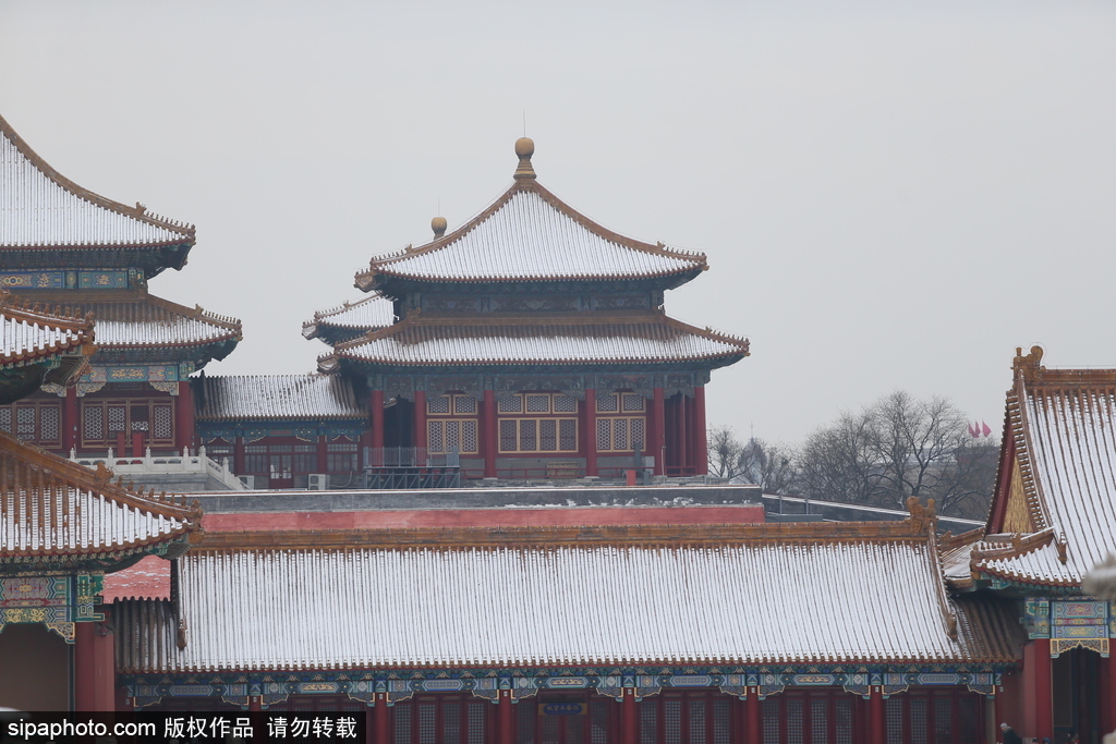 北京“鵝毛大雪”如約而至 故宮雪景美如畫(huà)