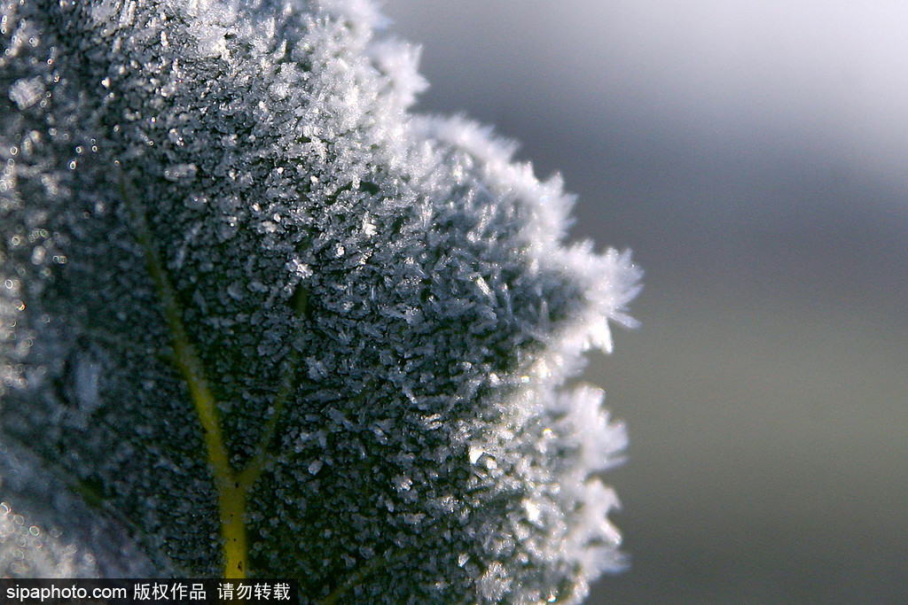 這個冬季太漫長？ 盤點霧凇冰掛美景讓你忘記季節(jié)時間