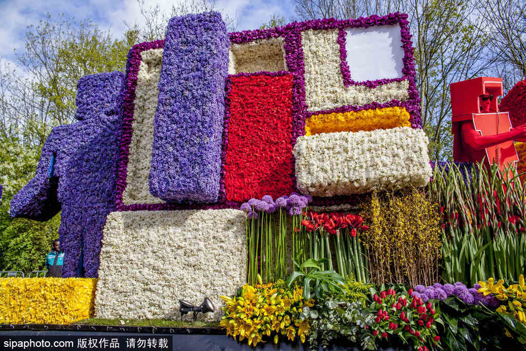 荷蘭小鎮(zhèn)利瑟迎來花車游行活動 鮮艷亮麗十分奪目