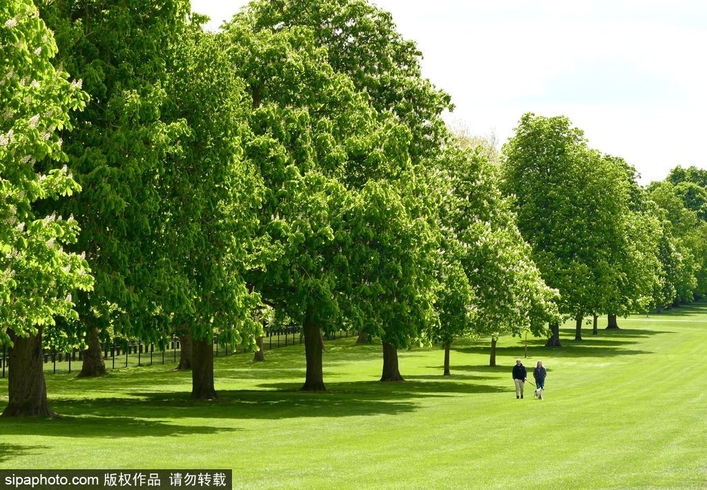 走進(jìn)如畫英倫莊園 感受午后明媚春光