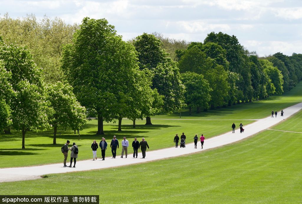 走進如畫英倫莊園 感受午后明媚春光