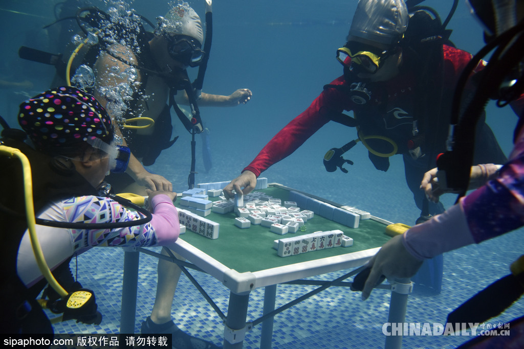 拼的就是創(chuàng)意 盤點水下世界趣聞不斷