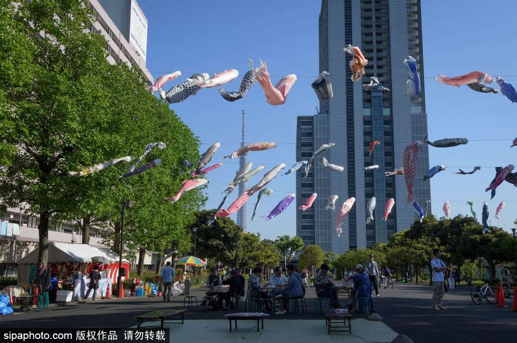 日本東京街頭鯉魚旗飄揚 寄托祝福慶祝男孩節(jié)