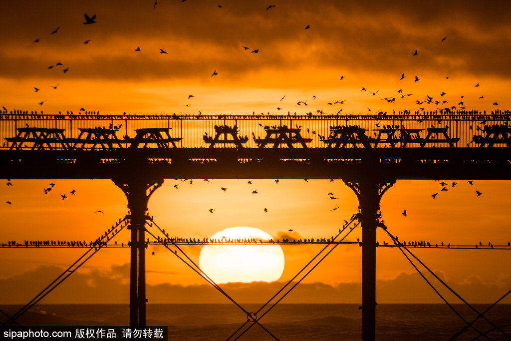 沐浴在落日余暉中 盡享全球最美落日美景