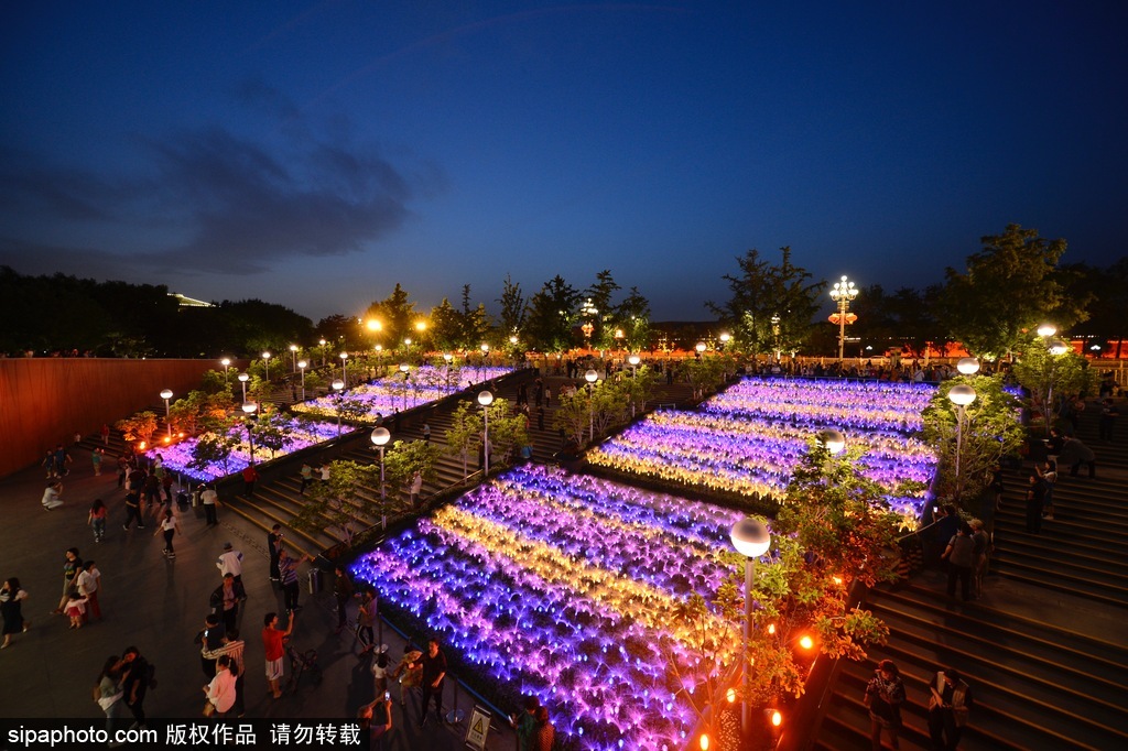 迎“一帶一路”高峰論壇 北京國家大劇院景光照明璀璨奪目