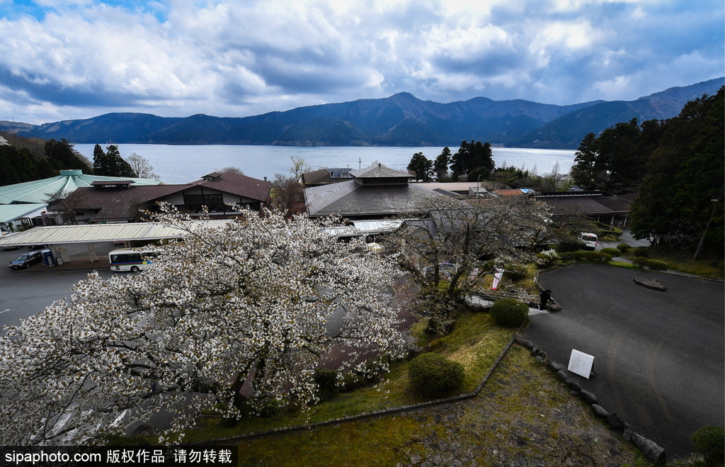 日本富士箱根伊豆國立公園初夏美景