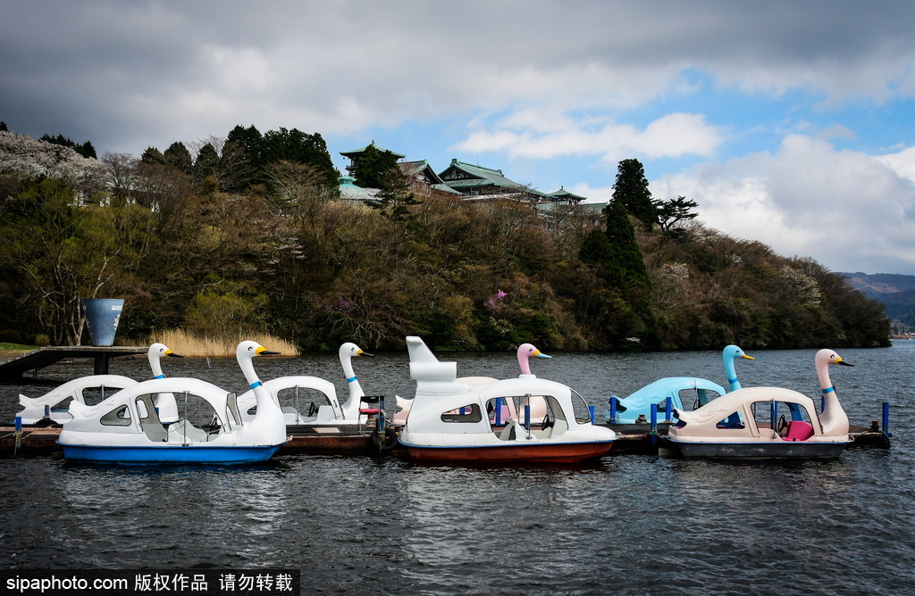 日本富士箱根伊豆國立公園初夏美景