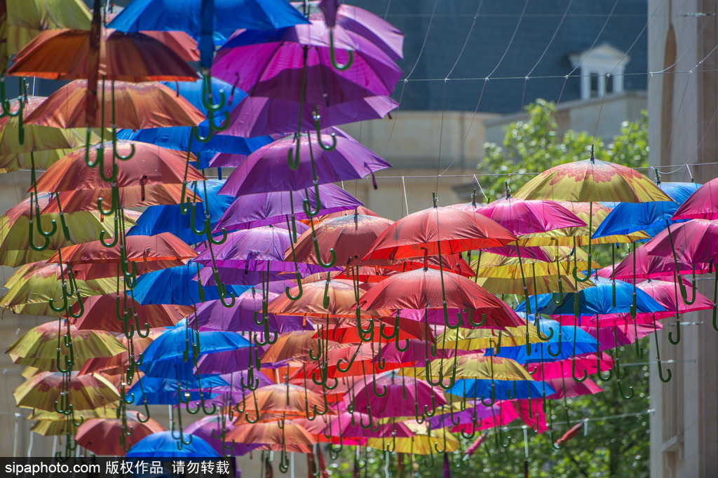 英國巴思街道懸掛多彩雨傘 色彩明亮裝點城市