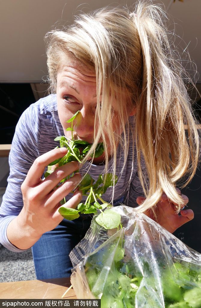 舌尖上的美食？英國吃豆瓣菜大賽眾選手大快朵頤瘋狂塞菜