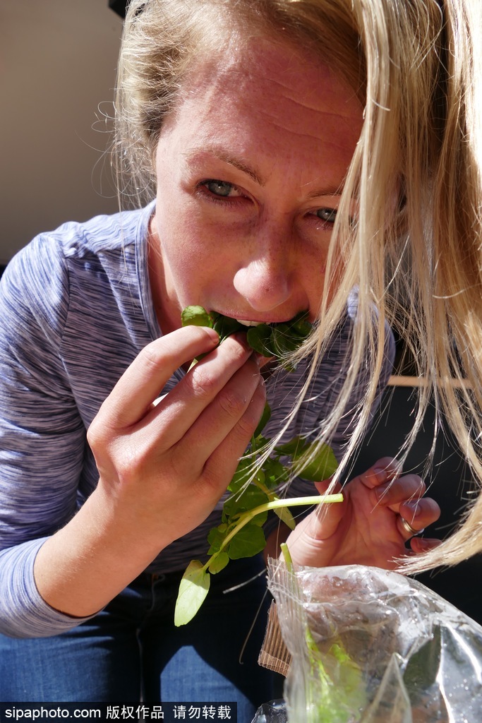 舌尖上的美食？英國(guó)吃豆瓣菜大賽眾選手大快朵頤瘋狂塞菜