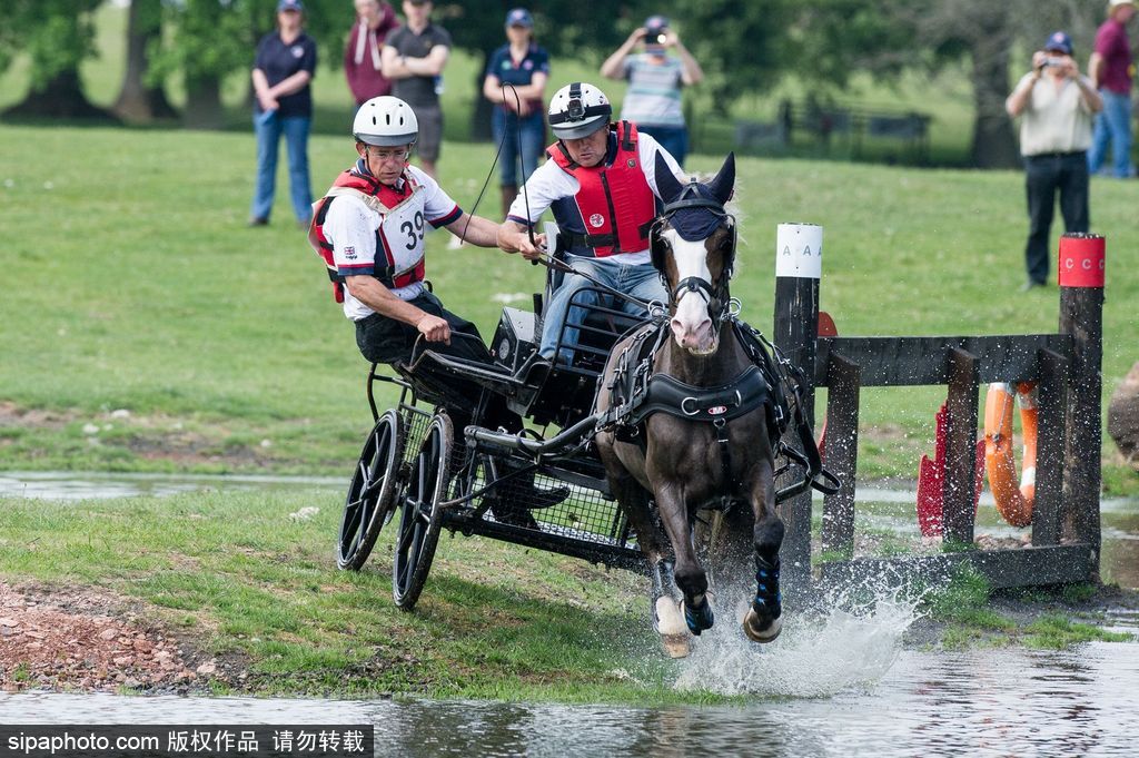 英國(guó)霍普頓四輪馬車賽激烈上演 菲利普親王坐車中悠閑觀賽