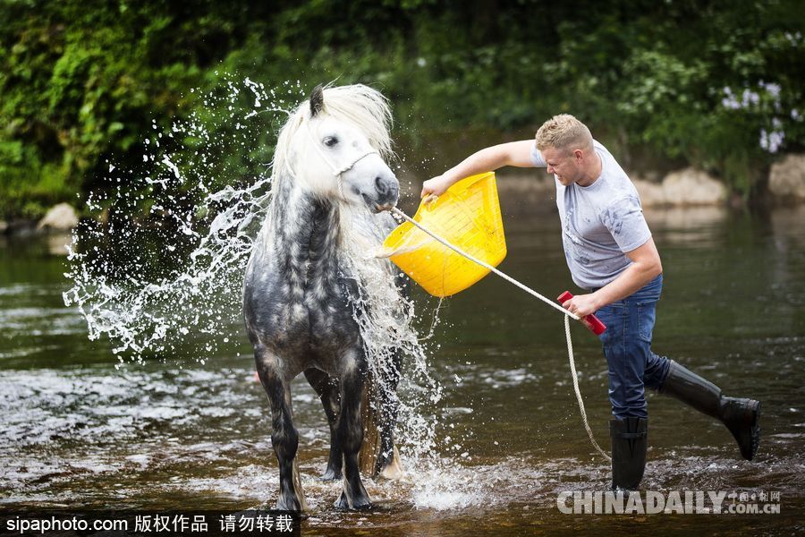 英國坎布里亞：阿普比馬市拉開帷幕