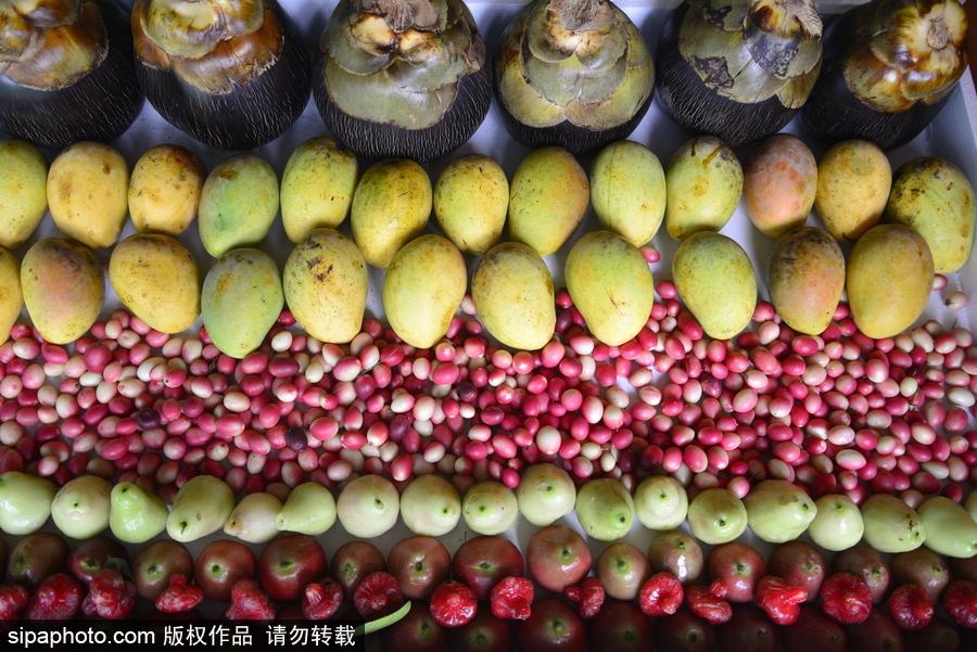 眼花繚亂饞到流口水 孟加拉國舉行國家水果展