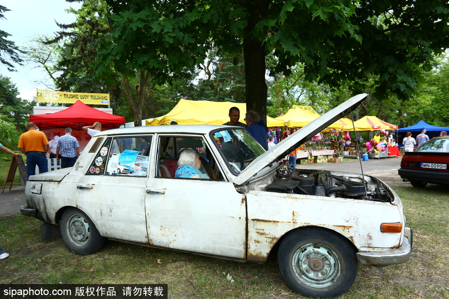 波蘭舉行復(fù)古車展 細數(shù)經(jīng)典老爺車停留的歲月