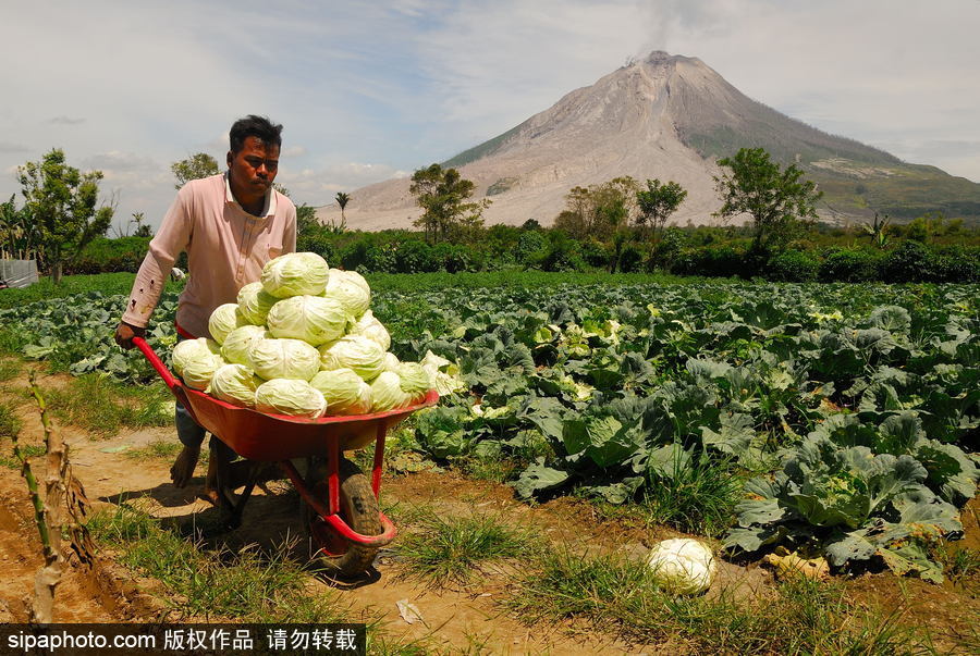 心態(tài)好！錫納朋火山熔巖量持續(xù)增加 居民淡然生活