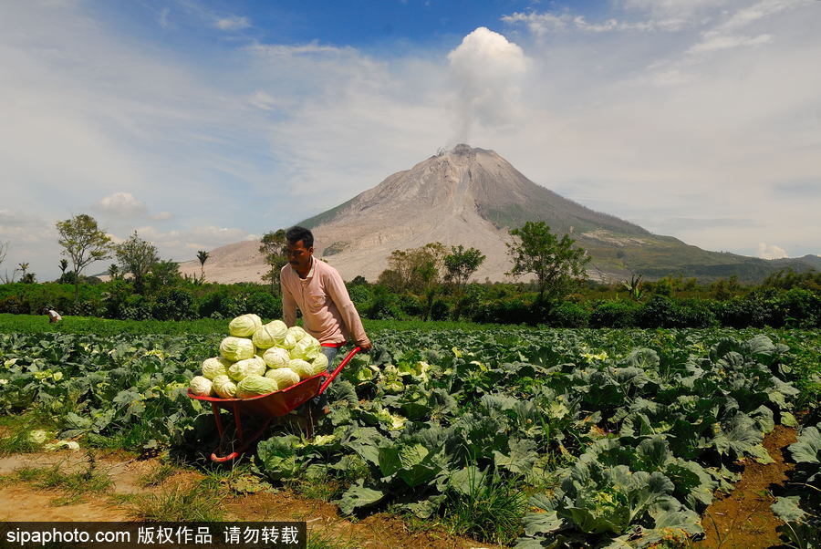 心態(tài)好！錫納朋火山熔巖量持續(xù)增加 居民淡然生活