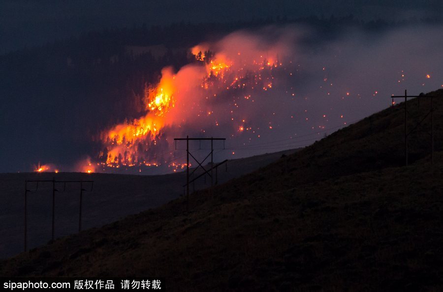 加拿大卑詩省山火蔓延 近7000人被疏散全省進(jìn)入緊急狀態(tài)