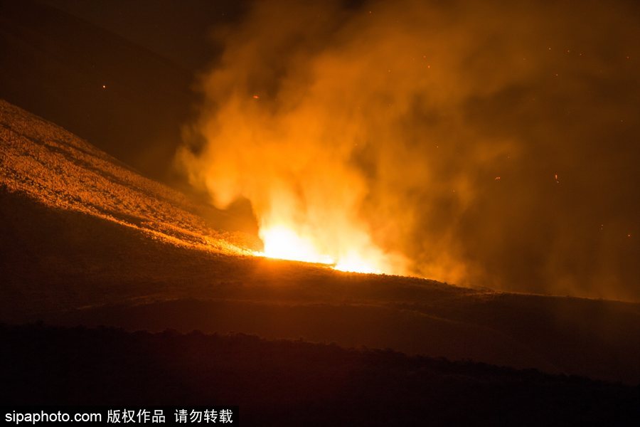 加拿大卑詩省山火蔓延 近7000人被疏散全省進(jìn)入緊急狀態(tài)