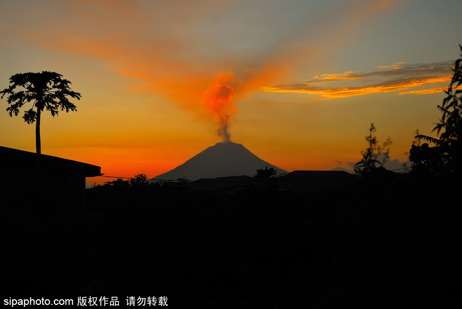 印尼錫納朋火山持續(xù)噴發(fā) 日暮時分火光沖天染紅天際