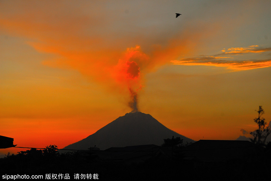 印尼錫納朋火山持續(xù)噴發(fā) 日暮時分火光沖天染紅天際