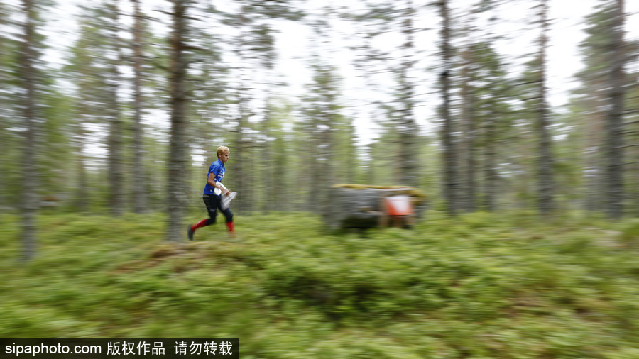 瑞典五日定向越野賽精彩開(kāi)幕 男女老少齊上陣挑戰(zhàn)耐力極限