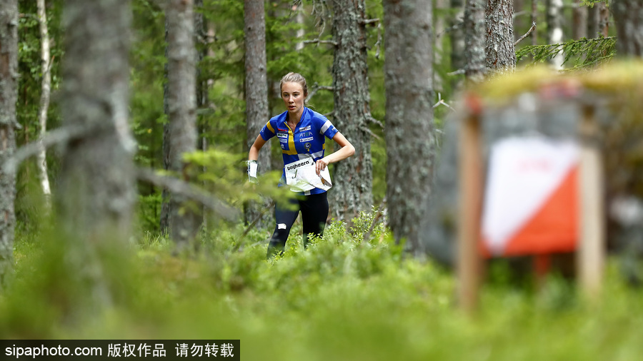 瑞典五日定向越野賽精彩開幕 男女老少齊上陣挑戰(zhàn)耐力極限