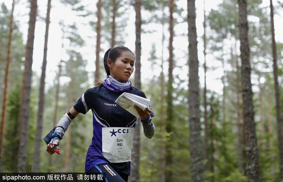 瑞典五日定向越野賽精彩開幕 男女老少齊上陣挑戰(zhàn)耐力極限