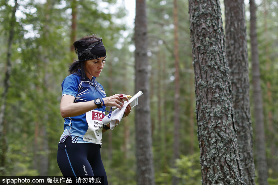 瑞典五日定向越野賽精彩開(kāi)幕 男女老少齊上陣挑戰(zhàn)耐力極限