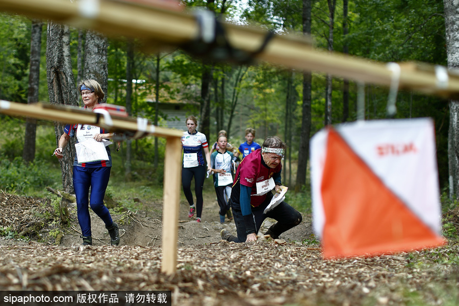 瑞典五日定向越野賽精彩開幕 男女老少齊上陣挑戰(zhàn)耐力極限