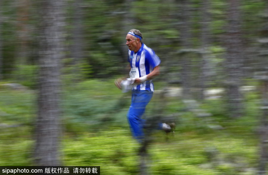 瑞典五日定向越野賽精彩開幕 男女老少齊上陣挑戰(zhàn)耐力極限