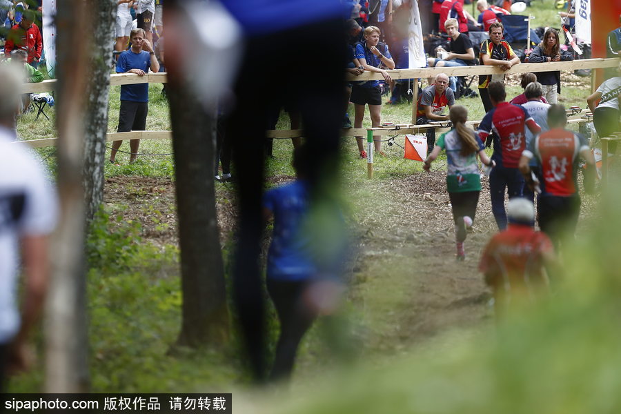 瑞典五日定向越野賽精彩開(kāi)幕 男女老少齊上陣挑戰(zhàn)耐力極限