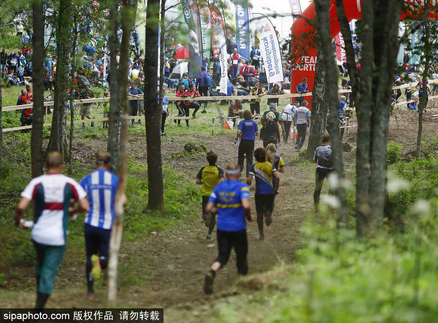 瑞典五日定向越野賽精彩開幕 男女老少齊上陣挑戰(zhàn)耐力極限