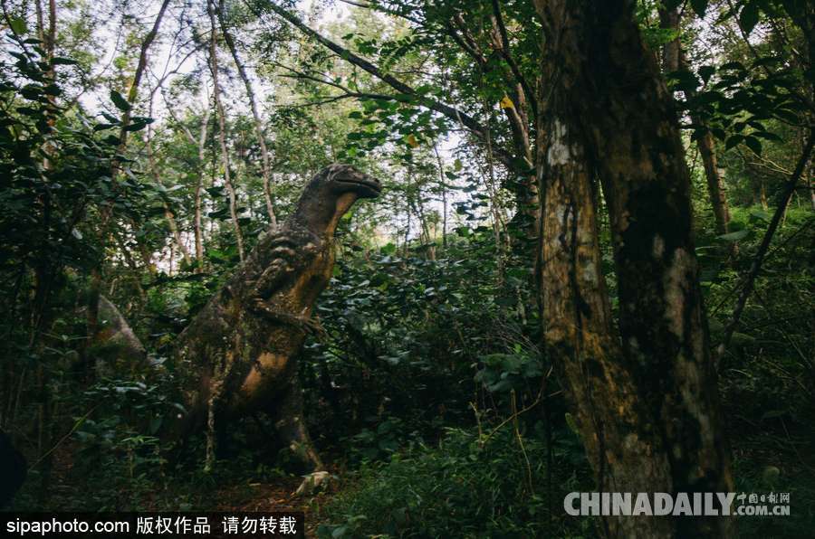 馬來(lái)西亞廢棄主題公園 似現(xiàn)實(shí)版侏羅紀(jì)公園