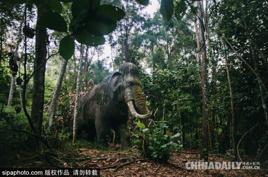 馬來西亞廢棄主題公園 似現(xiàn)實版侏羅紀公園