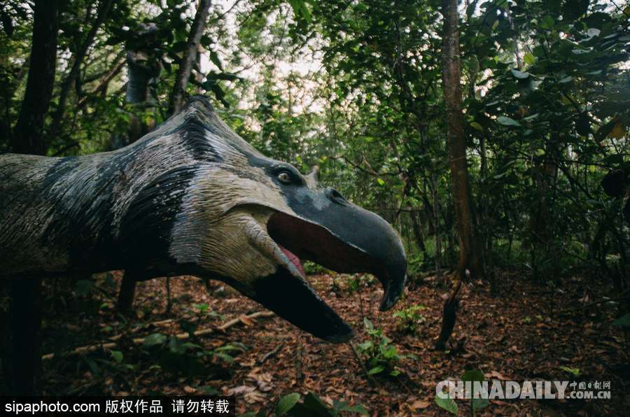 馬來(lái)西亞廢棄主題公園 似現(xiàn)實(shí)版侏羅紀(jì)公園