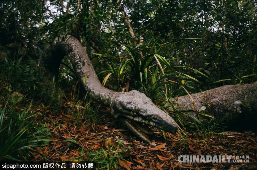 馬來西亞廢棄主題公園 似現(xiàn)實版侏羅紀公園