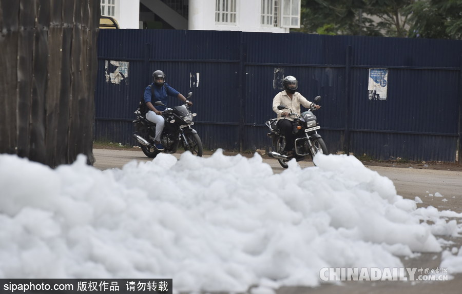 印度貝蘭杜爾湖污染嚴重 產(chǎn)生大量泡沫充斥街頭